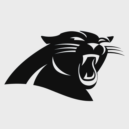 Carolina Panthers NFL Vinyl Decal Window Laptop