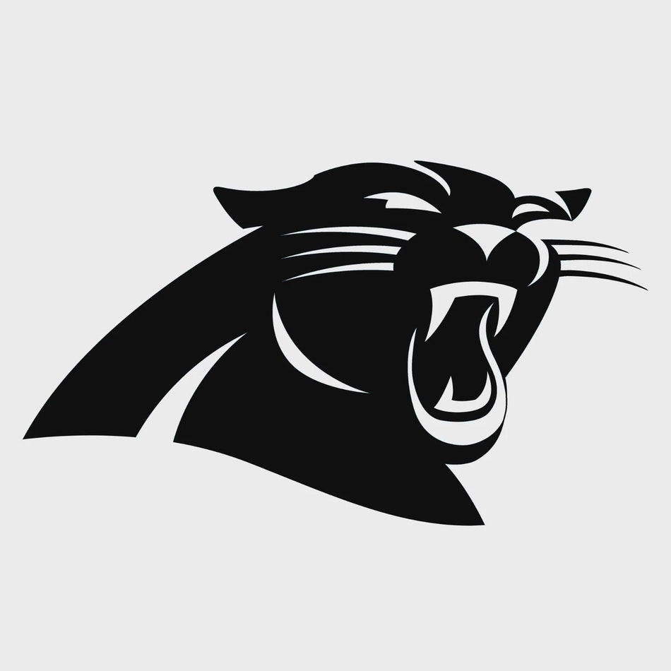 Carolina Panthers NFL Vinyl Decal Window Laptop