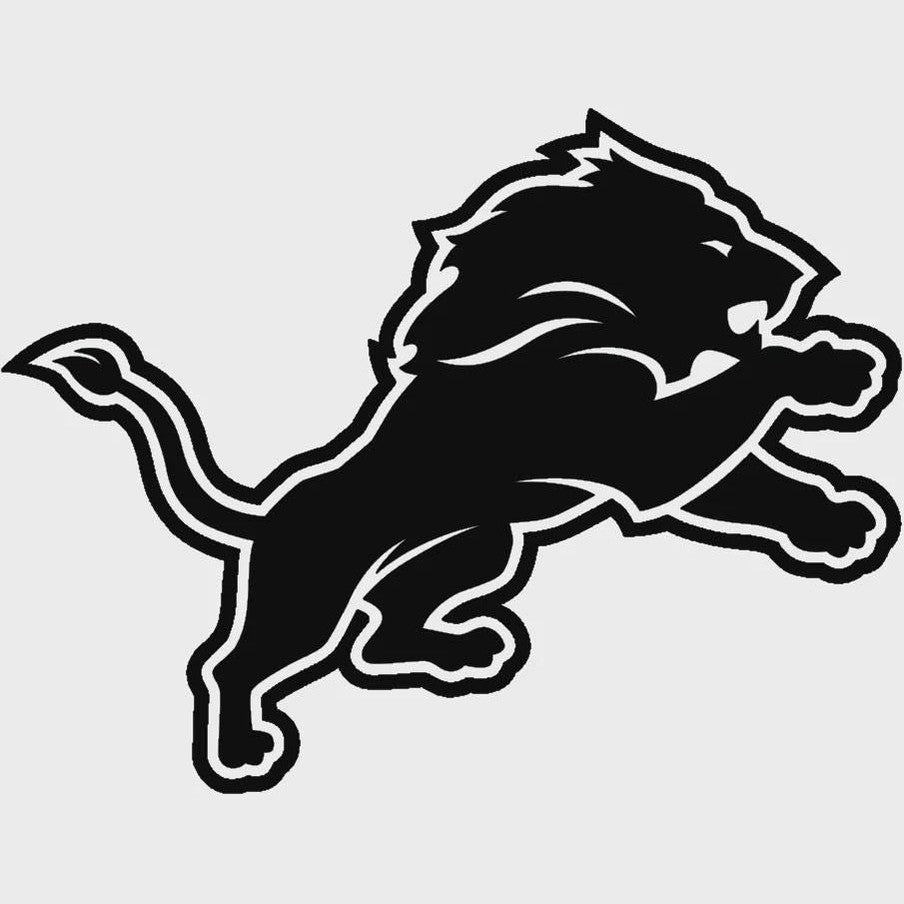 Detroit Lions Vinyl Decal Sticker- NFL Sticker for Cars, Trucks, Windows and more!